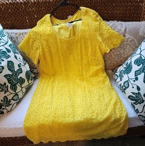 Ronni Nicole sunny yellow lace dress size 22W.
